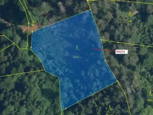 Dražba lesa, Jílové u Držkova, 3821 m2