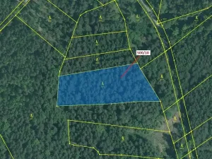 Dražba lesa, Jílovice, 5755 m2