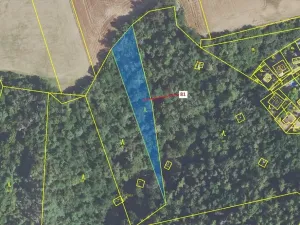 Dražba lesa, Sýkořice, 1816 m2