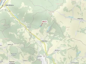 Dražba lesa, Zubrnice, 8765 m2