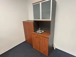 Pronájem kanceláře, Ostrava, Pelclova, 44 m2