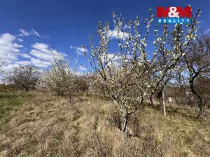 Prodej chaty, Hrušovany u Brna, 21 m2