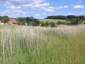 Dražba pozemku, Meziměstí, 2273 m2