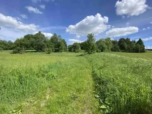 Dražba pozemku, Slavonice, 1831 m2