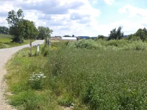 Dražba louky, Batelov, 4944 m2