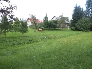 Dražba louky, Pěčín, 5224 m2