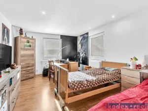 Prodej rodinného domu, Hradec Králové, U Jednoty, 300 m2