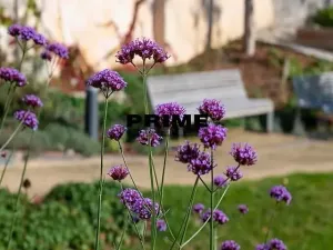 Pronájem bytu 2+kk, Praha - Smíchov, Holečkova, 79 m2