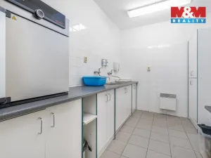 Pronájem komerční nemovitosti, Ústí nad Labem - Severní Terasa, Šrámkova, 181 m2