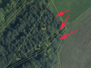 Prodej lesa, Horní Studénky, 1864 m2