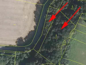 Prodej podílu lesa, Vranová Lhota, 1177 m2