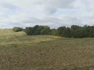 Prodej pozemku pro bydlení, Bohdalice-Pavlovice, 3936 m2