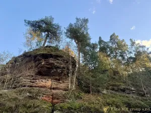 Prodej rodinného domu, Noviny pod Ralskem, 210 m2