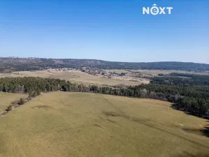 Prodej chalupy, Nepomuk, 100 m2