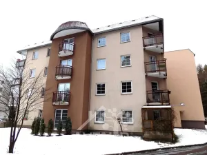 Pronájem bytu 1+kk, Jablonec nad Nisou, Široká, 43 m2