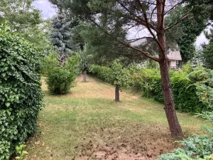 Prodej pozemku pro bydlení, Panenské Břežany, K dálnici, 843 m2