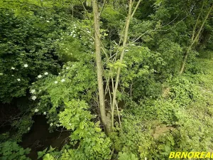 Prodej zahrady, Rousínov, 940 m2