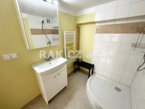 Pronájem bytu 1+kk, Praha - Libeň, Na Truhlářce, 38 m2