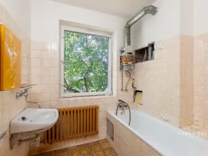 Prodej vícegeneračního domu, Praha - Záběhlice, Střemchová, 348 m2