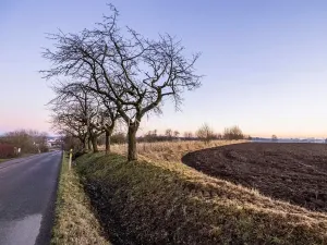 Prodej zahrady, Chotěboř, Hromádky z Jistebnice, 5327 m2