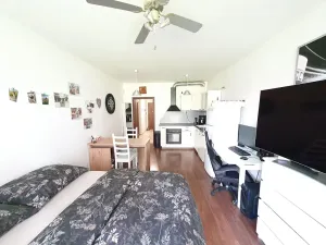 Pronájem bytu 1+kk, Praha - Horní Měcholupy, Modenská, 38 m2