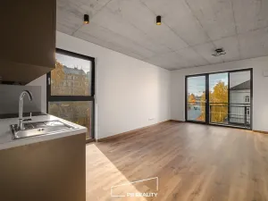 Pronájem bytu 1+kk, Plzeň, Kamenická, 34 m2