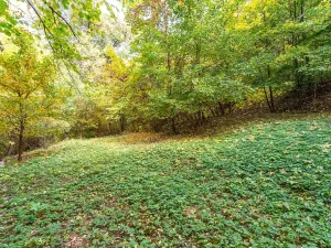 Prodej chaty, Dolní Kounice, Komenského, 16 m2