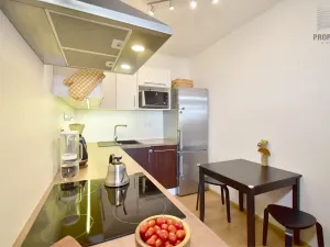 Pronájem bytu 2+kk, Brno, Bučkova, 49 m2