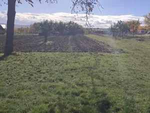 Prodej sadu/vinice, Blučina, 2677 m2