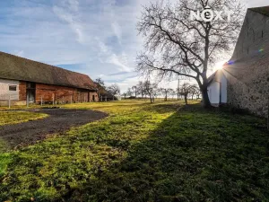 Prodej zahrady, Nové Mitrovice, 1882 m2