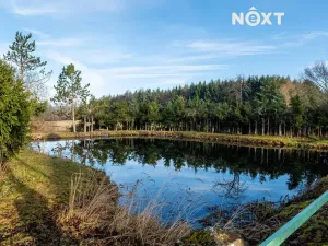 Prodej zahrady, Nové Mitrovice, 1882 m2