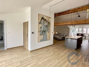 Prodej bytu 3+kk, Opava, Dolní schody, 125 m2