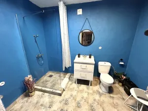 Prodej apartmánu, Líšnice, 300 m2