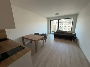 Pronájem bytu 1+kk, Praha - Žižkov, Tetauerova, 33 m2