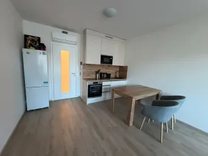 Pronájem bytu 1+kk, Praha - Žižkov, Tetauerova, 33 m2