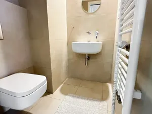 Prodej bytu 3+kk, Praha - Nové Město, Petrská, 85 m2