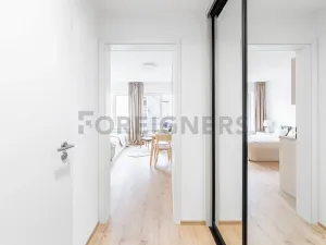 Pronájem bytu 1+kk, Brno, Spolková, 27 m2