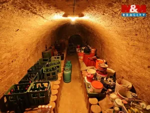 Prodej rodinného domu, Bořetice, 240 m2