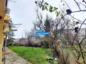 Pronájem bytu 2+1, Olomouc, Štítného, 54 m2