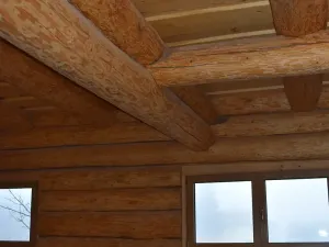 Prodej pozemku, Vyskytná nad Jihlavou, 172102 m2