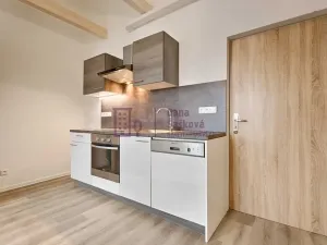 Pronájem bytu 2+kk, Jindřichův Hradec, 49 m2