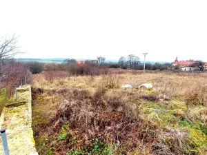 Prodej pozemku pro bydlení, Podbořany, 4457 m2