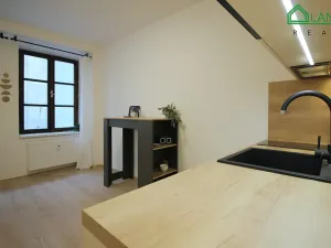 Pronájem bytu 1+kk, Brno, Francouzská, 23 m2