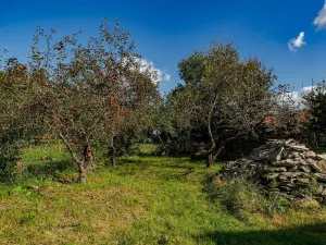 Prodej rodinného domu, Zámrsk, 130 m2