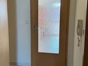 Pronájem bytu 1+kk, Brno, Trýbova, 36 m2