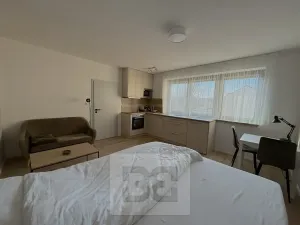 Pronájem bytu 1+kk, České Budějovice, Štítného, 27 m2