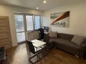 Pronájem bytu 1+kk, Brno, Dřevařská, 30 m2