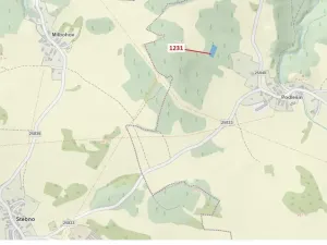 Dražba lesa, Stebno, 1462 m2