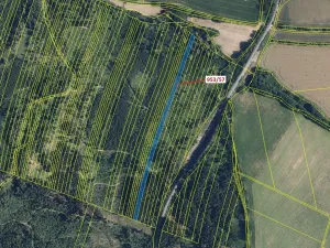 Dražba lesa, Nová Hradečná, 6750 m2