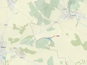 Dražba lesa, Stebno, 2275 m2